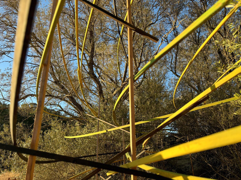 Painted curving sticks arcing through the trees.