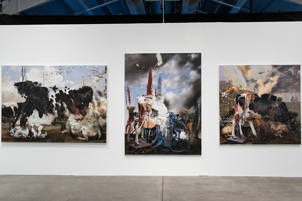 Three photomontage paintings with imagery of cattle