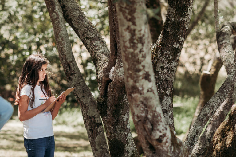 A child standing under olive trees